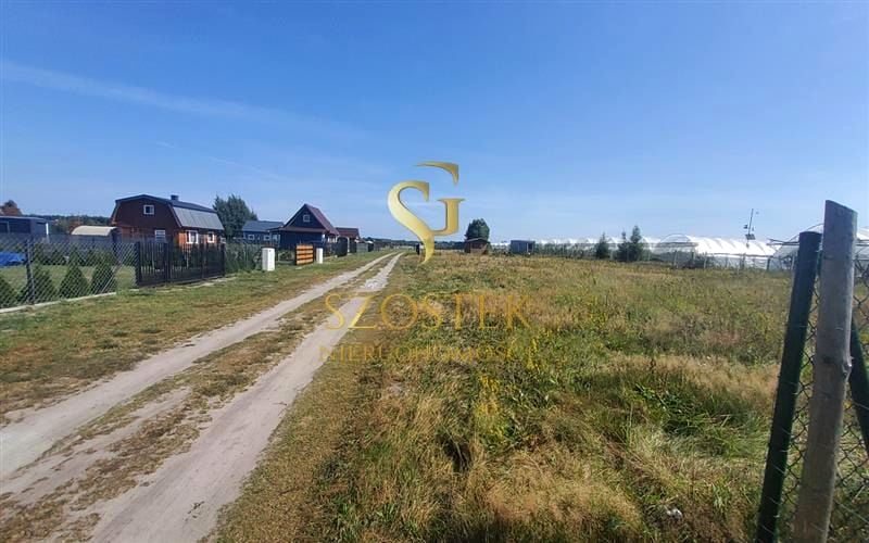 Zdjęcie 3