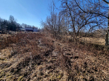 Działka budowlana Brwinów sprzedam