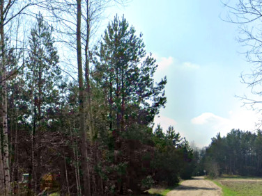 Działka rekreacyjna Michałów