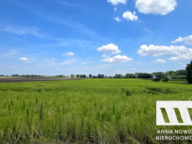Działka budowlana Ludów Polski
