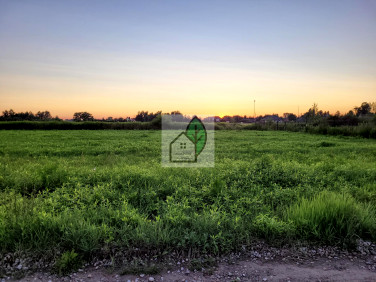 Działka budowlana Głosków