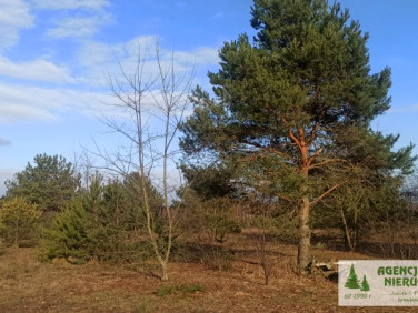 Działka budowlana Buczynów