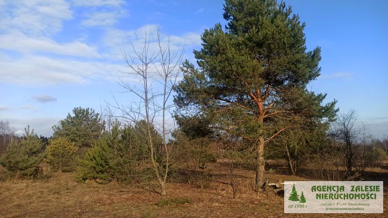 Działka budowlana Buczynów