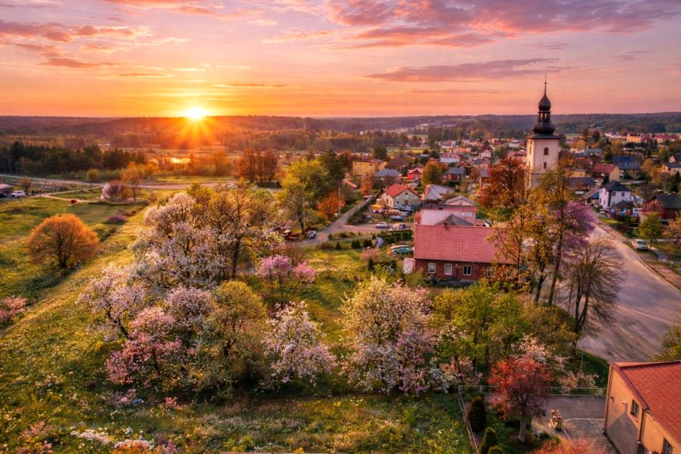 Działka budowlana Olszyna