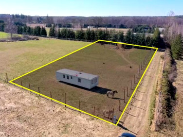 Pusta działka Pieczarki