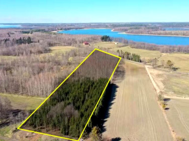 Działka leśna Harsz sprzedam