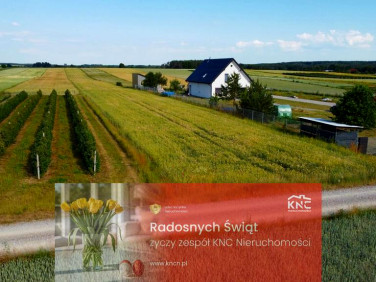 Działka budowlana Borów-Kolonia