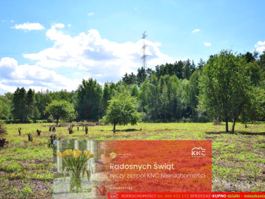 Działka rolna Pliszczyn sprzedam