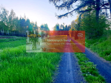 Działka budowlana Zemborzyce Podleśne