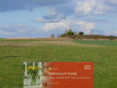 Działka rolna Przytoczno sprzedam