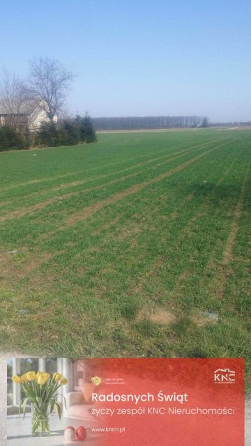Działka rolna Jakubowice Konińskie sprzedam