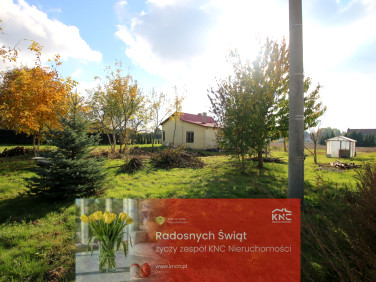 Dom Nasutów sprzedaż