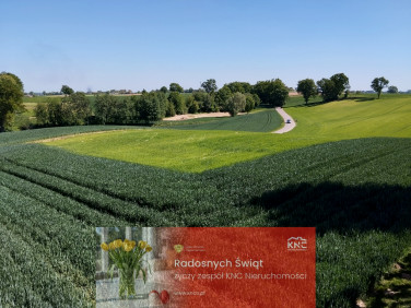 Działka budowlana Moszenki