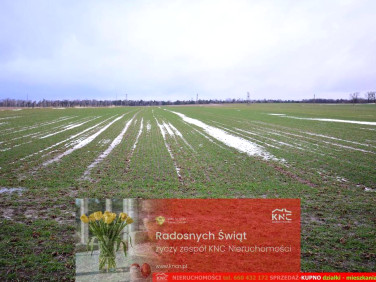 Działka budowlana Wierciszów sprzedam