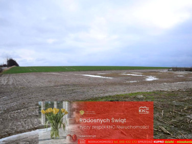 Działka budowlana Wierciszów sprzedam