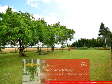 Działka rolna Osmolice Pierwsze sprzedam