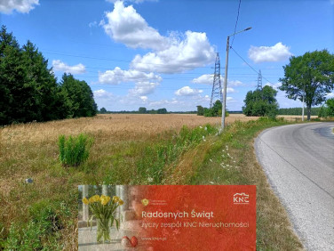 Działka rolna Zwoleń