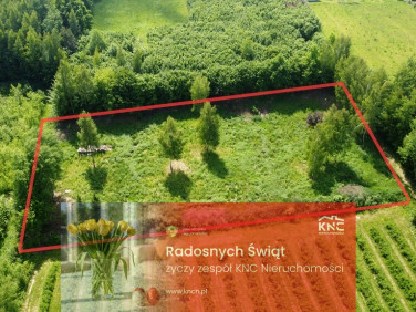 Działka budowlana Kazimierz Dolny