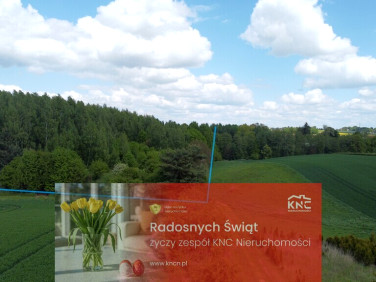 Działka rolna Chruszczów-Kolonia sprzedam