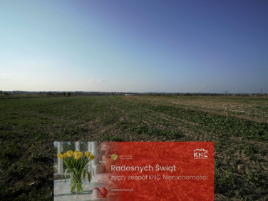 Działka budowlana Długie