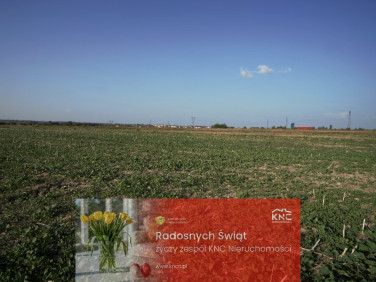 Działka budowlana Długie