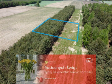 Działka budowlana Wólka Gonciarska