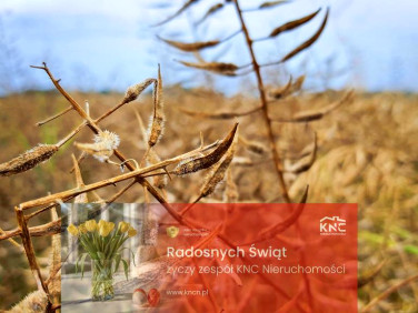 Działka usługowa Nałęczów