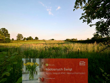 Działka budowlana Panieńszczyzna