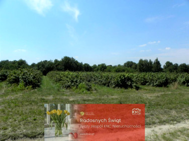 Działka budowlana Głusk sprzedam