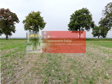 Działka Nowe Chojno