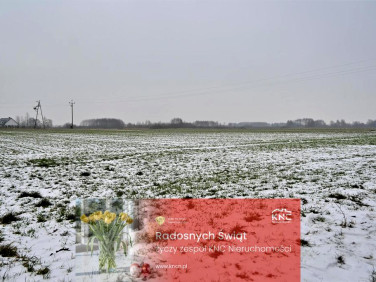 Działka przemysłowa Ludwin