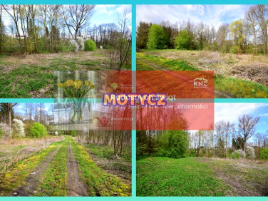 Działka rolna Motycz