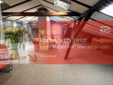 Lokal Lublin wynajem
