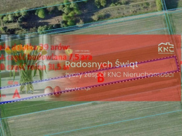 Działka budowlano-rolna Lisów