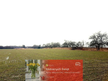 Działka rolna Uniszowice