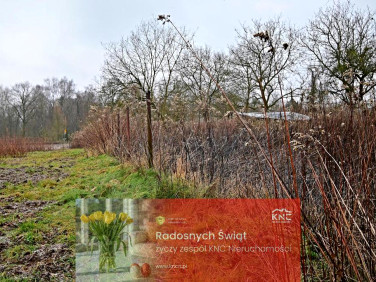 Działka rolna Kazimierz Dolny