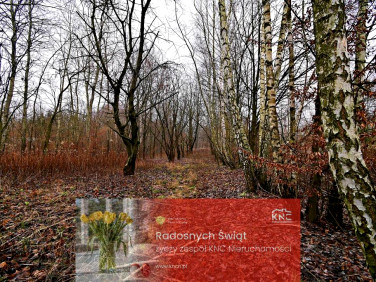 Działka rolna Kazimierz Dolny