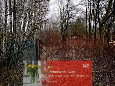 Działka rolna Kazimierz Dolny