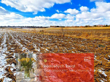 Działka rolna Płouszowice-Kolonia