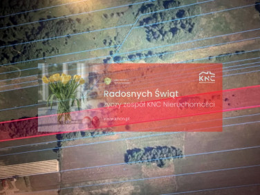 Działka rolna Brzeźnica Leśna