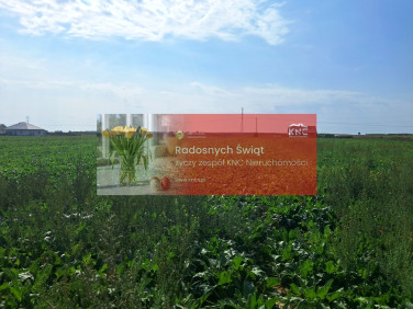 Działka Turowola-Kolonia