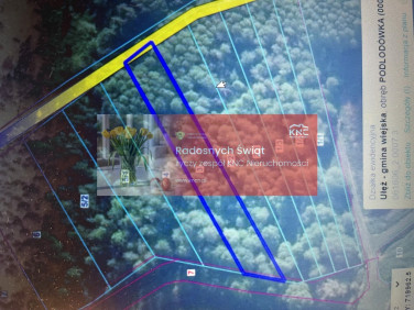 Działka leśna Podlodówka sprzedam