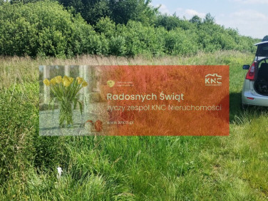 Działka rekreacyjna Gołąb