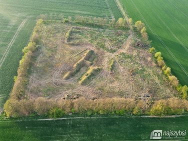 Działka budowlana Witkowo Pierwsze