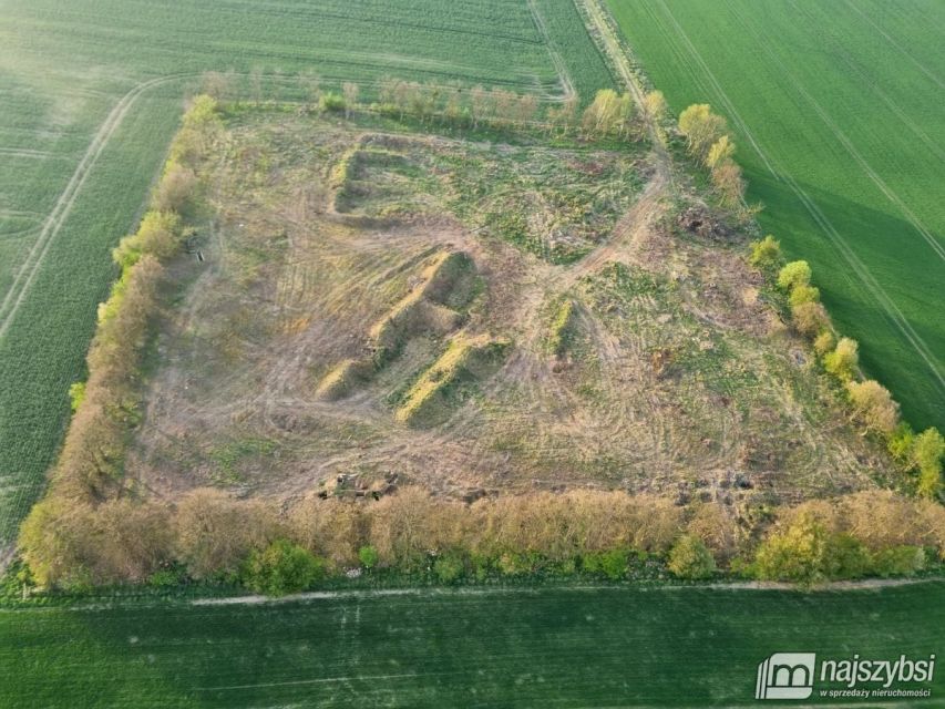 Działka budowlana Witkowo Pierwsze