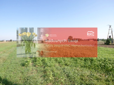 Działka Rudka Gołębska