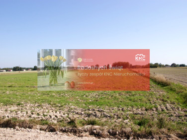 Działka rekreacyjna Krasne