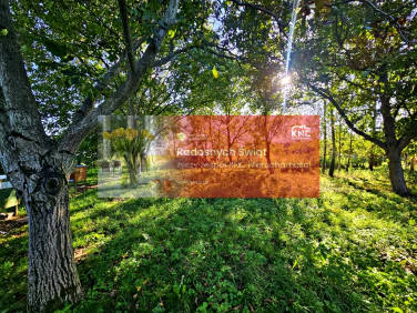 Działka rolna sprzedam