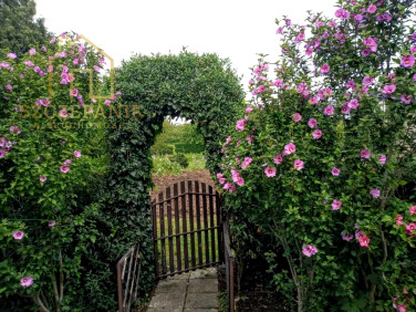 Działka rekreacyjna Rzeszów