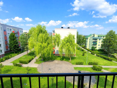 Mieszkanie Piekary Śląskie